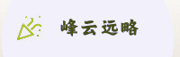 合作伙伴